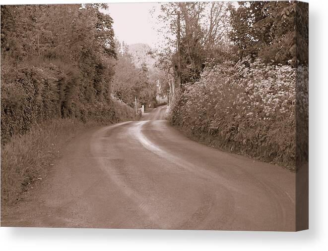 Road Canvas Print featuring the photograph The Road Most Taken by Lisa Blake