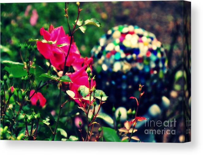 Rose Canvas Print featuring the photograph The Rose's Ball by Mindy Bench