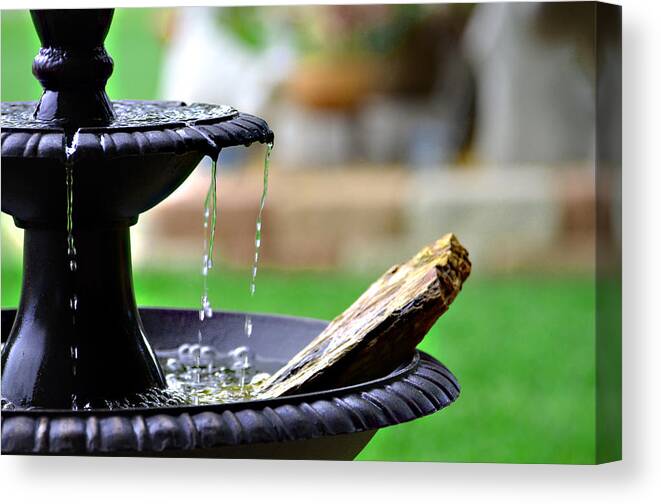 Fountain Canvas Print featuring the photograph The Sound Of Contentment by Linda Cox
