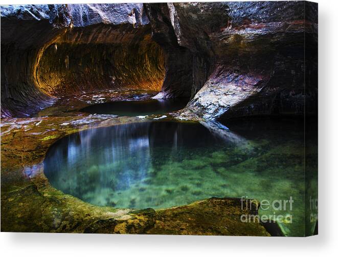 The Subway Canvas Print featuring the photograph The Subway Natures Best 1 by Bob Christopher