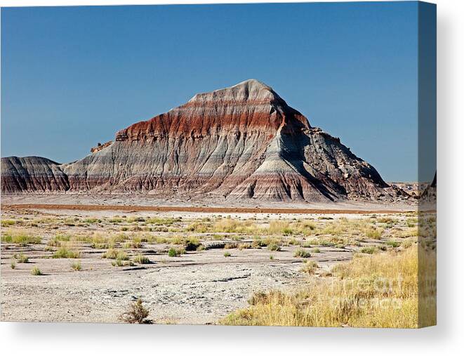 Arizona Canvas Print featuring the photograph The Tepees Petrified Forest National Park by Fred Stearns
