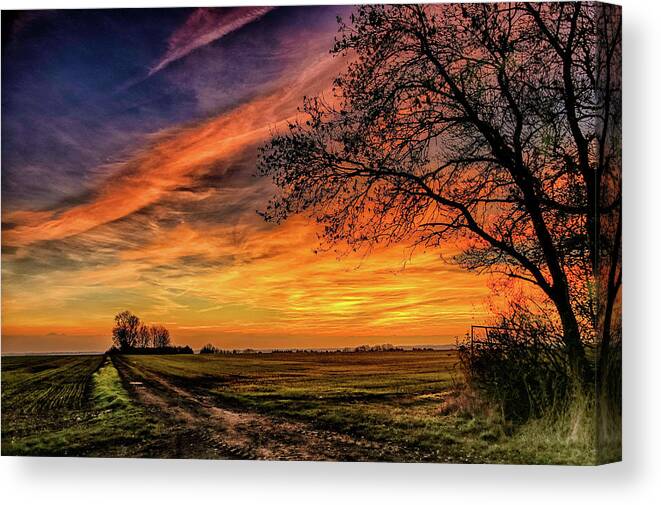 Tranquility Canvas Print featuring the photograph The Track by Alan Sheers