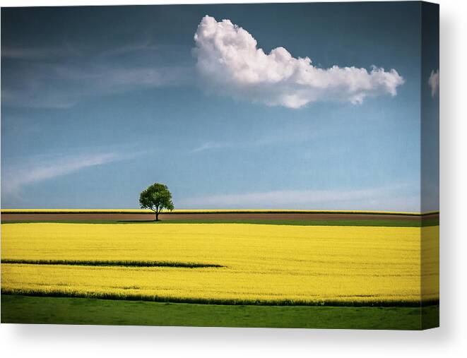 Tree Canvas Print featuring the photograph The Tree And The Cloud by Andreas Wonisch
