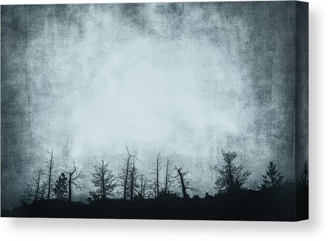 Grunge Canvas Print featuring the photograph The Trees On The Ridge by Theresa Tahara