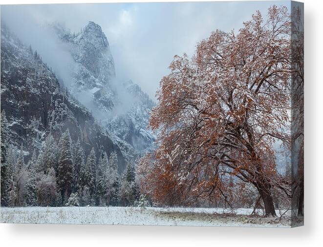 Landscape Canvas Print featuring the photograph The Two Seasons by Jonathan Nguyen