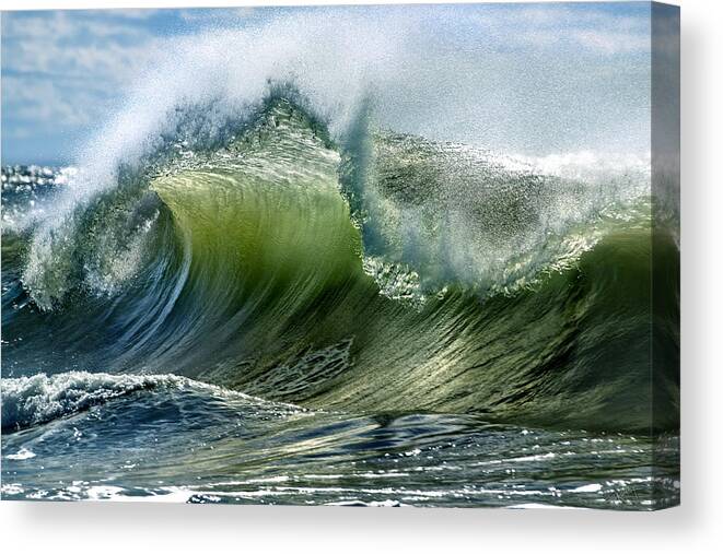 Ocean Canvas Print featuring the photograph The Wave by Ed Kelley