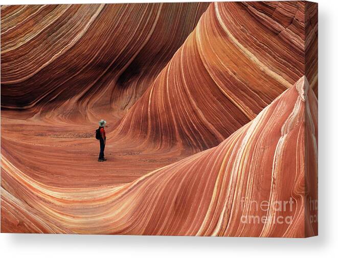 The Wave Canvas Print featuring the photograph The Wave Seeking Enlightenment by Bob Christopher