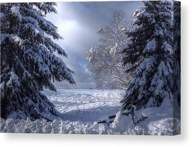 Snow Canvas Print featuring the photograph The Winter Pathway by Gary Smith