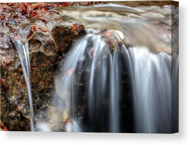 World Famous Pig Snout Falls Canvas Print featuring the photograph The World Famous Pig Snout Falls of Alabama by JC Findley