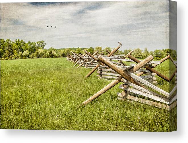 Fence Canvas Print featuring the photograph There Was A Crooked Fence by Cathy Kovarik