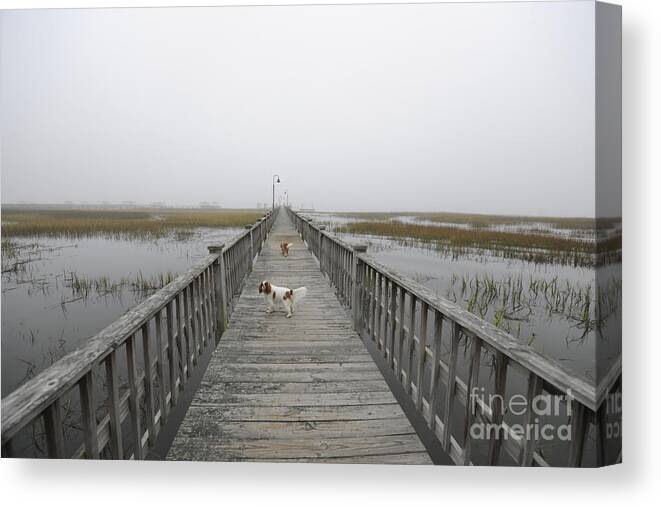 Fog Canvas Print featuring the photograph Thick as Peanut Butter by Dale Powell