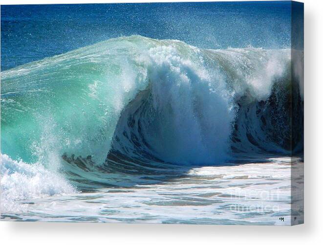Beach Canvas Print featuring the photograph Thick by Everette McMahan jr