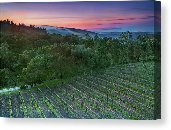 Scenics Canvas Print featuring the photograph Thomas Fog-erty by Aaron Meyers
