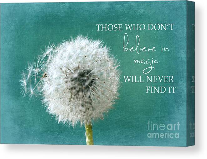 Dandelion Canvas Print featuring the photograph Those Who Dont Believe In Magic by Sylvia Cook