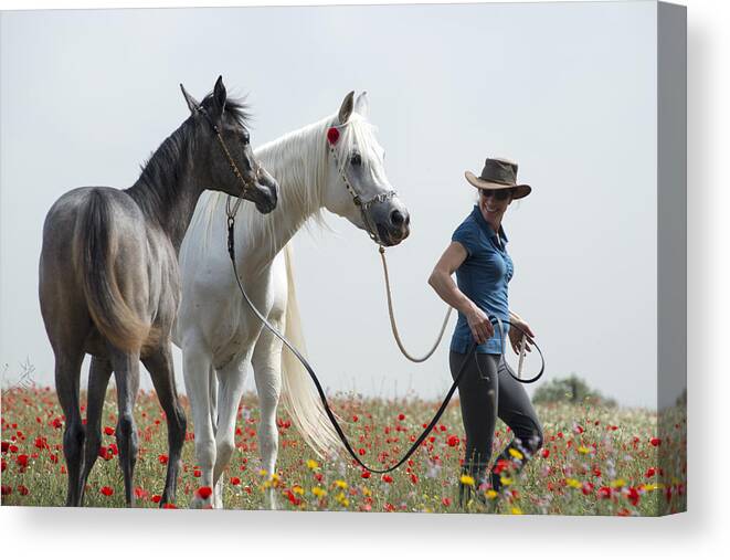 Poppies Canvas Print featuring the photograph Three at the poppies' field... 1 by Dubi Roman