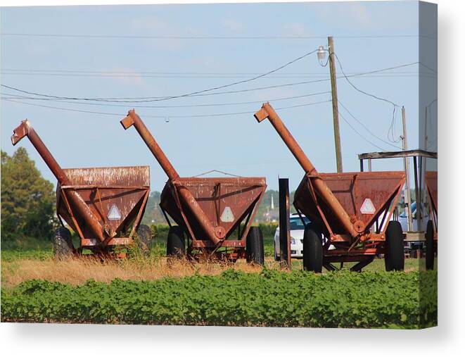 Rust Canvas Print featuring the photograph Three In A Row by Karen Wagner