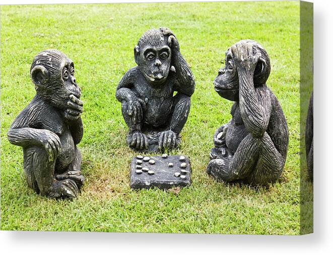 Lawn Canvas Print featuring the photograph Three monkeys playing checkers by Tosporn Preede