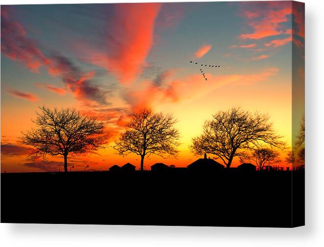 Sunset Canvas Print featuring the photograph Three Trees In The Park by Cathy Kovarik