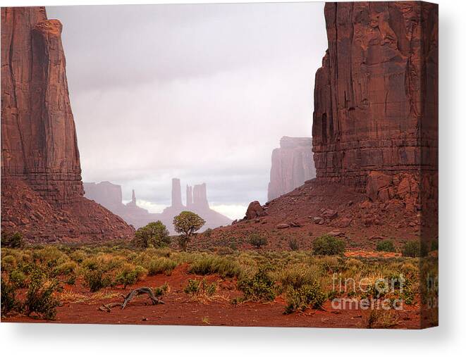 Red Rocks Canvas Print featuring the photograph Through the Gap by Jim Garrison