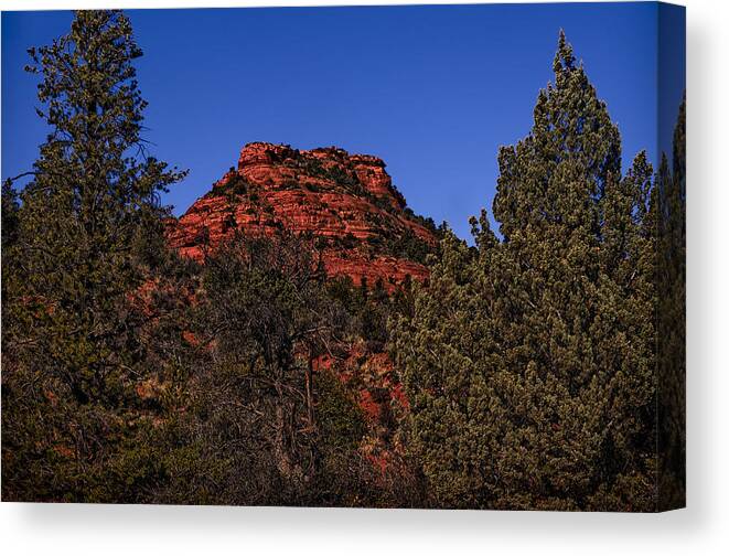 2014 Canvas Print featuring the photograph Through The Pines by Mark Myhaver