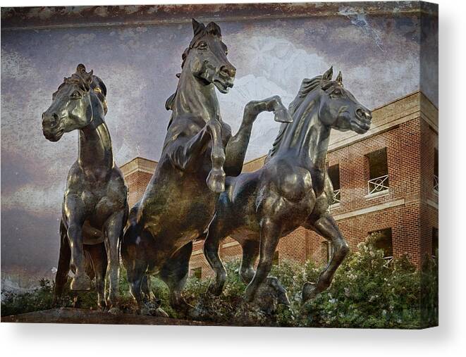 Mustang Canvas Print featuring the photograph Thundering Mustangs by Joan Carroll