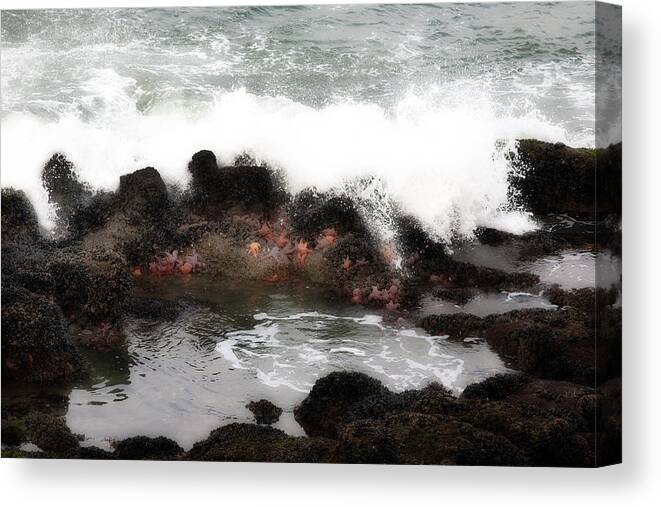 Tidalpool Canvas Print featuring the photograph Tide Pool by Hugh Smith