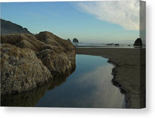 Landscape Canvas Print featuring the photograph Tidepool Monolith 2 by Arthur Fix