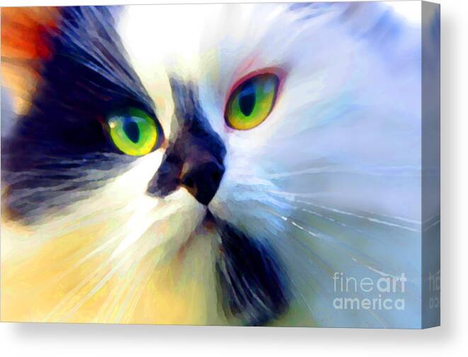 Animal Canvas Print featuring the photograph Tinker by Adria Trail