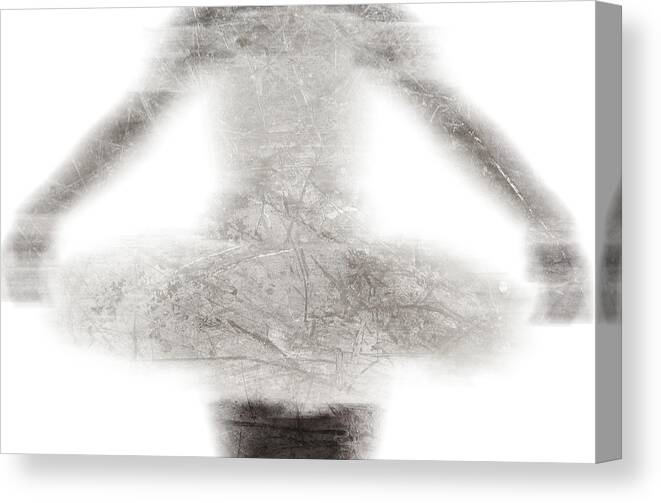 Dance Canvas Print featuring the photograph Tiny Dancer by J C