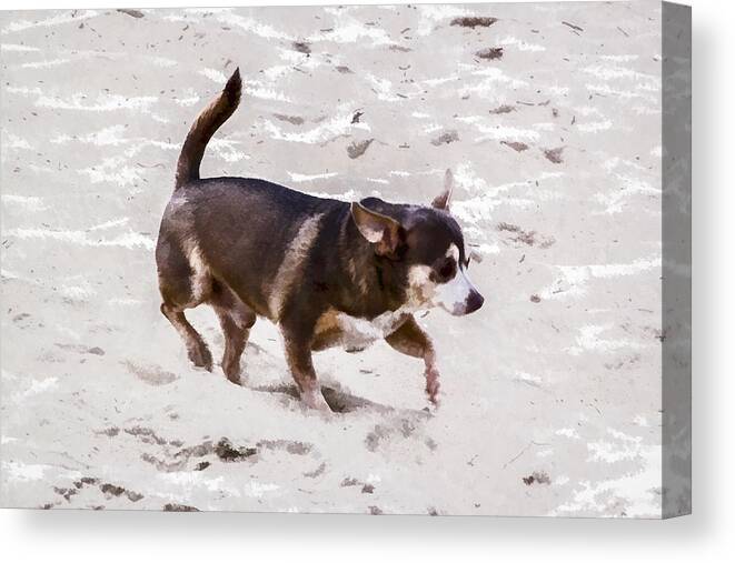 Beach Canvas Print featuring the digital art Tiptoe by Photographic Art by Russel Ray Photos
