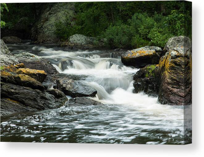 Stream Canvas Print featuring the photograph Toddy Pond Stream in Surry Maine by Kirkodd Photography Of New England