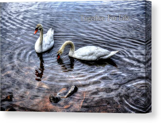 Inspirational Canvas Print featuring the photograph Together for Life by Craig Burgwardt