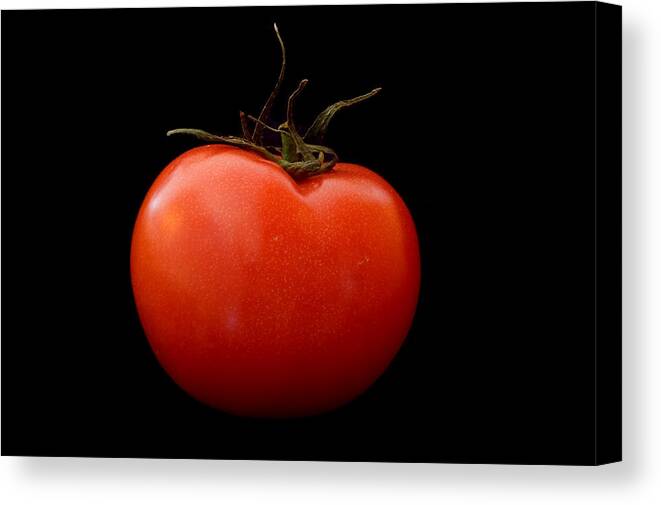 Tomato Canvas Print featuring the photograph Tomato on Black by Jeremy Voisey