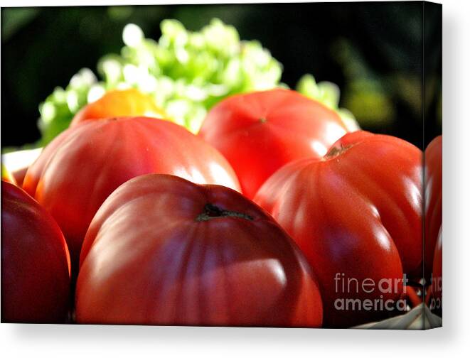 Vegetables Canvas Print featuring the photograph Tomatoes by Tatyana Searcy
