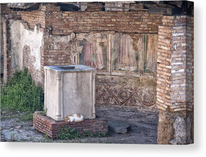 Abandoned Digital Art Canvas Print featuring the photograph Torre Argentina Roman Cat Sanctuary by Melany Sarafis