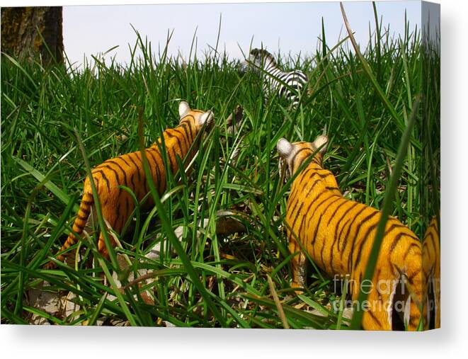 Toy Canvas Print featuring the photograph Toy Tiger Hunt by Kristy Jeppson