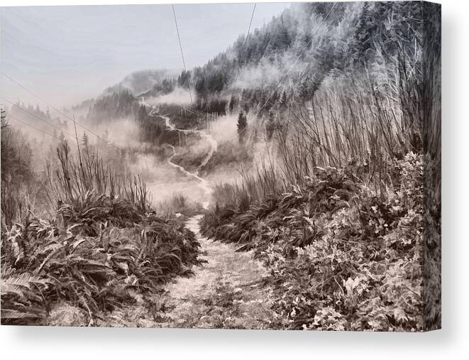 Trails Canvas Print featuring the photograph Trail Into the Clouds by Peggy Collins