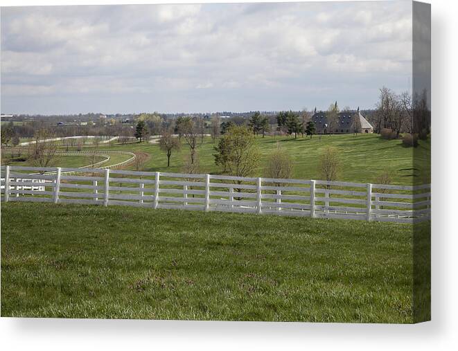 Animal Canvas Print featuring the photograph Training Barn and turf track by Jack R Perry