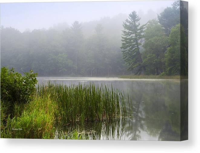 Tranquil Canvas Print featuring the photograph Tranquil Moments Landscape by Christina Rollo