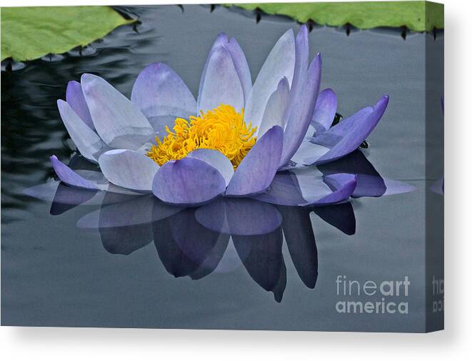 Tranquility Canvas Print featuring the photograph Tranquility by Byron Varvarigos