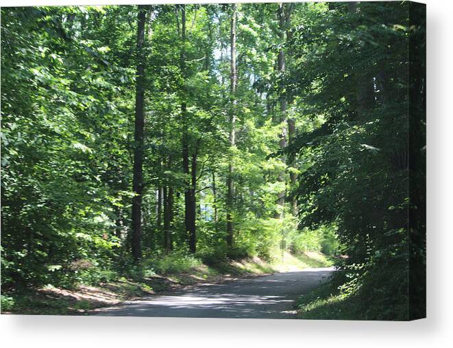 Tranquil Canvas Print featuring the photograph Tranquility by Denise Cicchella