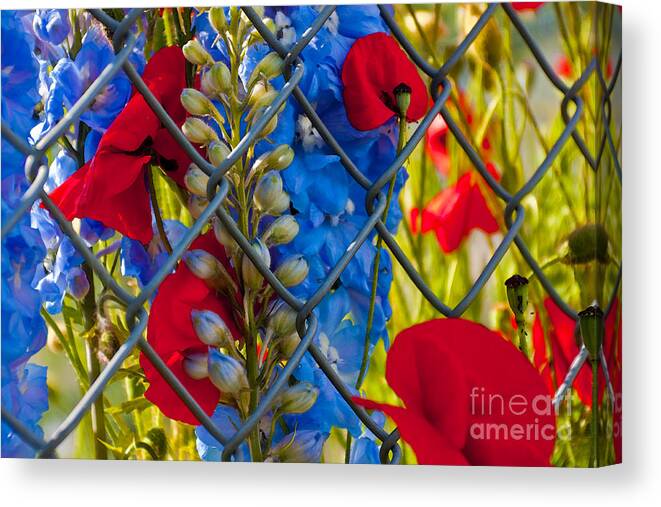 Transcendence Canvas Print featuring the photograph Transcendence by Sandi Mikuse