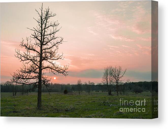 Sunset Images Canvas Print featuring the photograph Transition by Dan Hefle