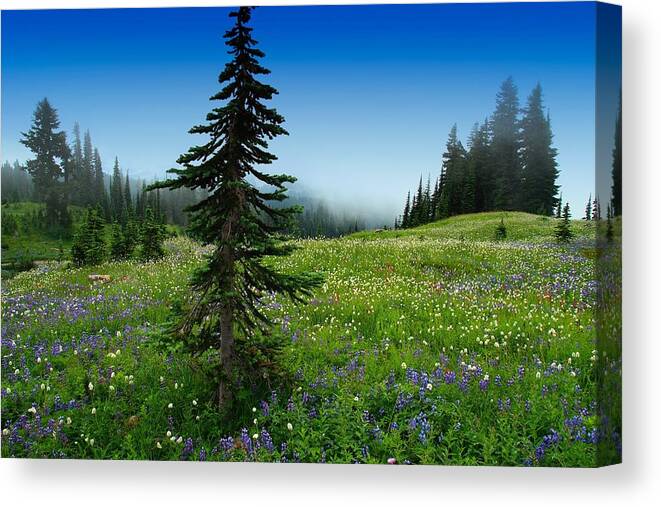 Alpine Meadow Canvas Print featuring the photograph Tree amongst wildflowers by Lynn Hopwood