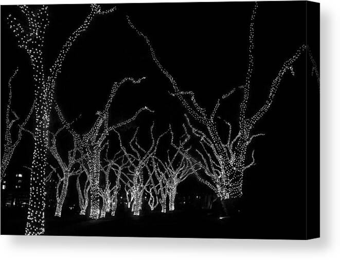 Lighted Trees Canvas Print featuring the photograph Trees Bejeweled II by Jim Snyder