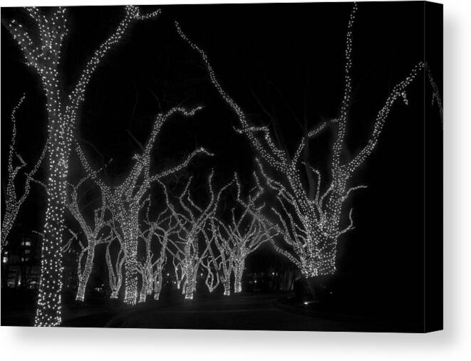 Lighted Trees Canvas Print featuring the photograph Trees Bejeweled by Jim Snyder