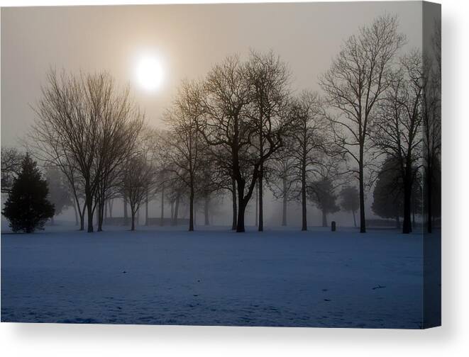 Fog Canvas Print featuring the photograph Trees In The Mist by Cathy Kovarik