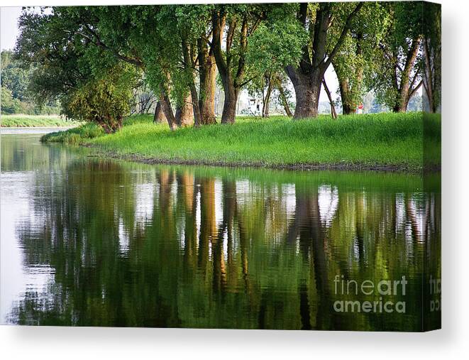 Water Canvas Print featuring the photograph Trees Reflection on the Lake by Heiko Koehrer-Wagner
