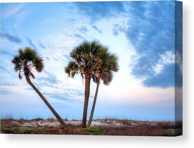Gulf Shores Canvas Print featuring the photograph Tres Amigos in Gulf Shores by JC Findley
