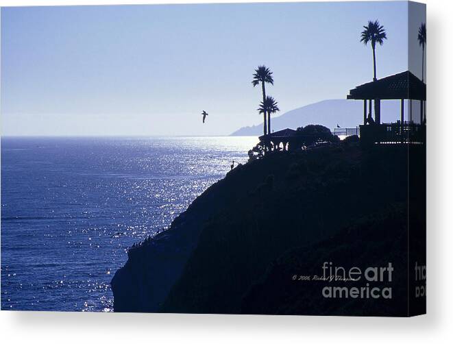 Bird Canvas Print featuring the photograph Tropical Silhouette by Richard J Thompson 